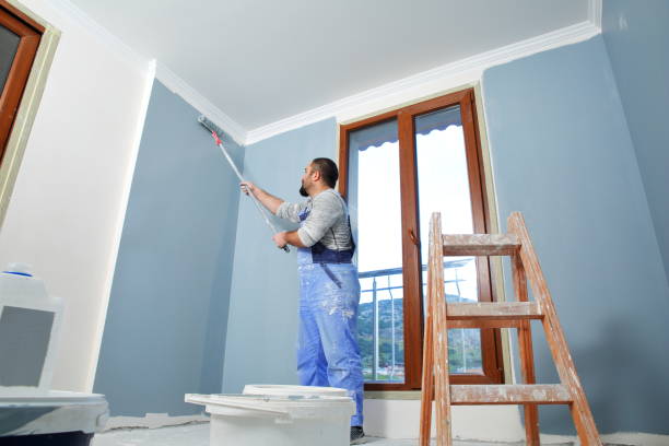 Best Wallpaper Removal and Painting  in De Soto, IA