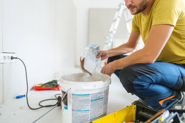 Best Drywall Sanding and Smoothing  in De Soto, IA